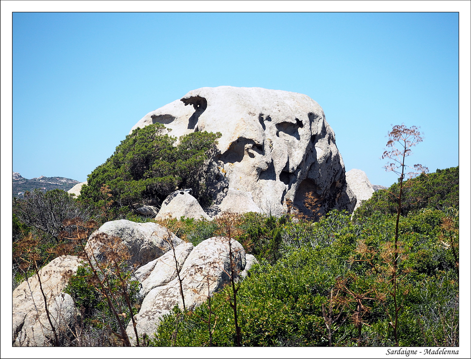 2017   05   Sardaigne   Madelenna   16